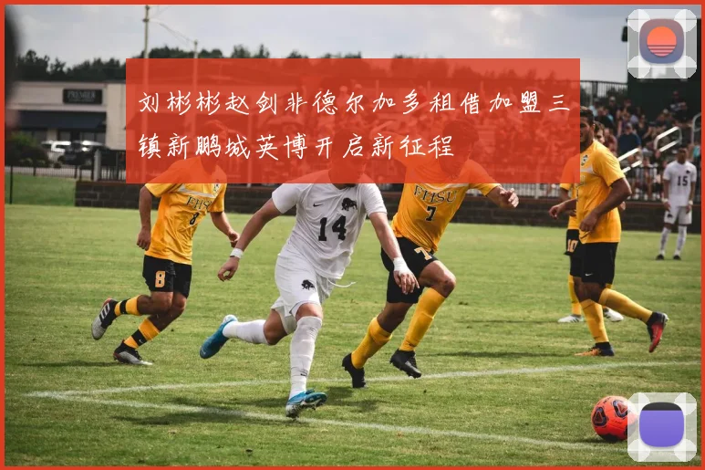 刘彬彬赵剑非德尔加多租借加盟三镇新鹏城英博开启新征程